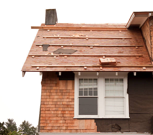 Affordable Siding Repair and Maintenance Services in Tangelo Park, FL